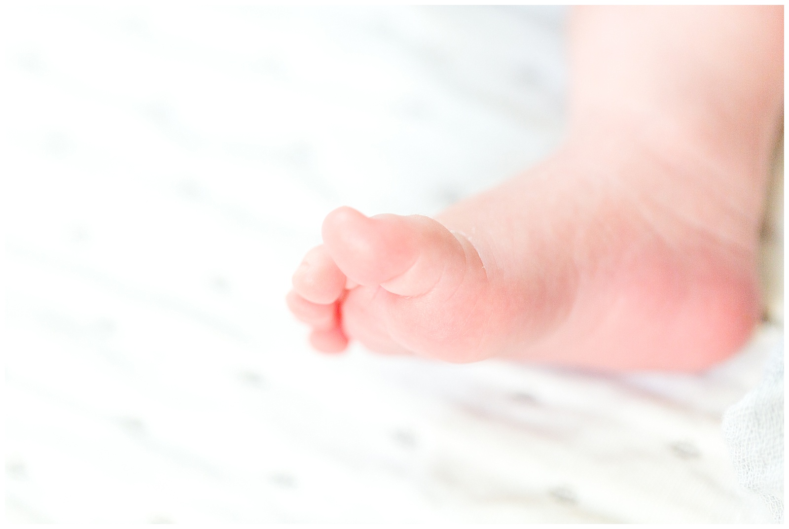 Newborn baby foot 
